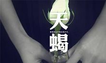天蝎座对什么样的生活心驰神往