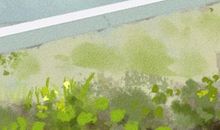 2021年正月十一是阳历多少号 几九