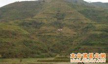 坟墓对家人的风水影响