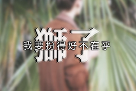 狮子如何看到男士门票的数量