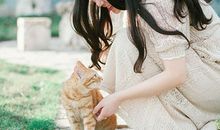 猫石对话每日运势2016年12月26日