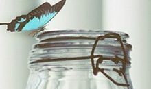 白羊座人缘指数有多高