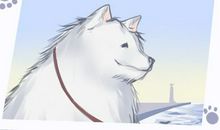 2021年2月纳畜黄道吉日查询一览表