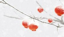 正月大年初六可以洗衣服吗 可以打扫卫生吗