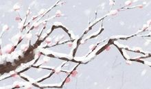 正月大年初六可以洗澡洗头发吗 正月为什么不能洗