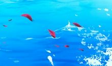 大年初六接什么神 正月初六接财神