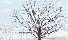 2021年农历三月二十是黄道吉日吗 今日吉时凶时查询