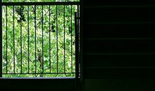 中医分析金牛座体质