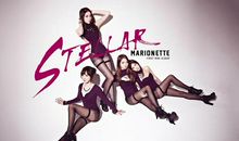 秦阳明2021年2月19日生肖运势