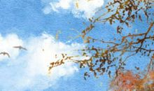 2021年正月十三是阳历多少号