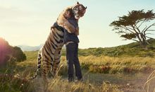 属虎人要避免的结婚对象