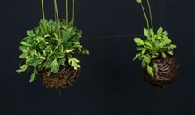 金牛座怪癖，你占了几条？