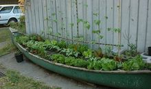 白羊座怪癖，你占了几条？