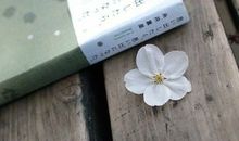 处女座怪癖，你占了几条？