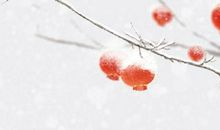 元宵节又称什么节还称什么节 元宵节为什么叫火把节