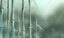 办公室里的针叶植物会破财吗？