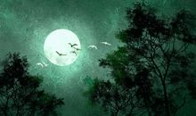 紫微斗数上等命格有哪些 六吉星落于命宫