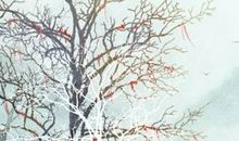 免费紫微命盘配对 步骤缺一不可