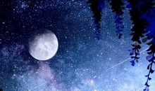 上等格局女命 因婚姻而贵的紫微命盘