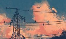 一看就是命好的女人 最得丈夫宠爱的日柱