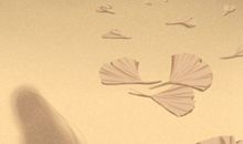 2021年元宵节可以出行吗 正月十五出门好吗