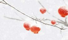 南方小年是哪一天农历几月几日 为什么南方24过小年