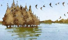 大年初三回娘家是哪的规矩 有什么禁忌