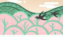 无春年可以领结婚证吗