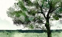 正月十二能洗澡吗 有啥讲究