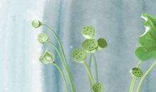 2021年正月十九出门日子好不好 正月19出门好吗