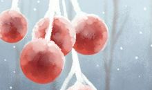 霜降节气养生注意事项 哪些对人比较好