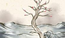 2021年3月2日是几九第几天 有关数九的历史传说