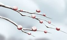 2021年3月4日是几九第几天 数九时间查询表