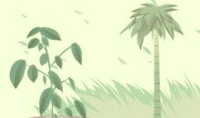 兰花风水摆放禁忌属相 兰花放什么位置旺财