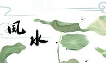 招财树的摆放禁忌 风水作用