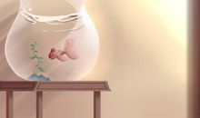 家居风水布局 鱼缸放哪个位置风水好