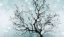 正月二十一出行吉时 正月二十一适合出行吗2021年