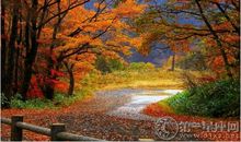 2018年北京看红叶最好的地方推荐