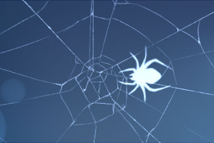 蜘蛛在蜘蛛爬上蜘蛛的含义是什么？
