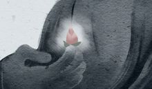 鸿运当头摆放风水禁忌 怎么养