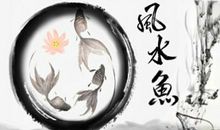 哪种属相不适合养鱼 家里养鱼的风水禁忌