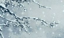 正月二十一出行好不好2021年 正月21出行日子好吗