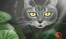 风水学千万不要在家烧香