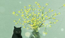 一棵绿萝七个鬼 养绿萝会招鬼吗