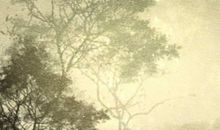 2021年3月4日适合出行吗 正月二十一出门日子好吗