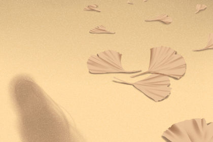 办公室里的风水是什么？