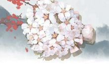 水命缺火的需要带什么东西 女孩水命缺火