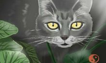 2021本命年什么时候穿红色可以趋吉避凶