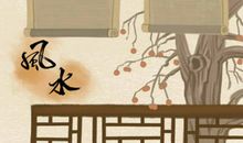 麒麟掌是什么植物 风水摆放禁忌