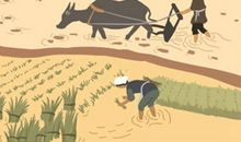 别墅围墙风水，围墙的最佳尺寸